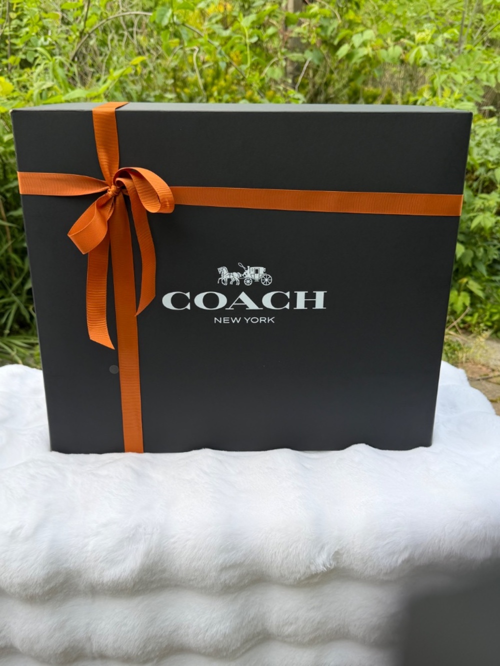 Coach Large Rainbow Kisslock 27 Bag in Signature Jacquard | CCX15 | New - Picture 3 of 17